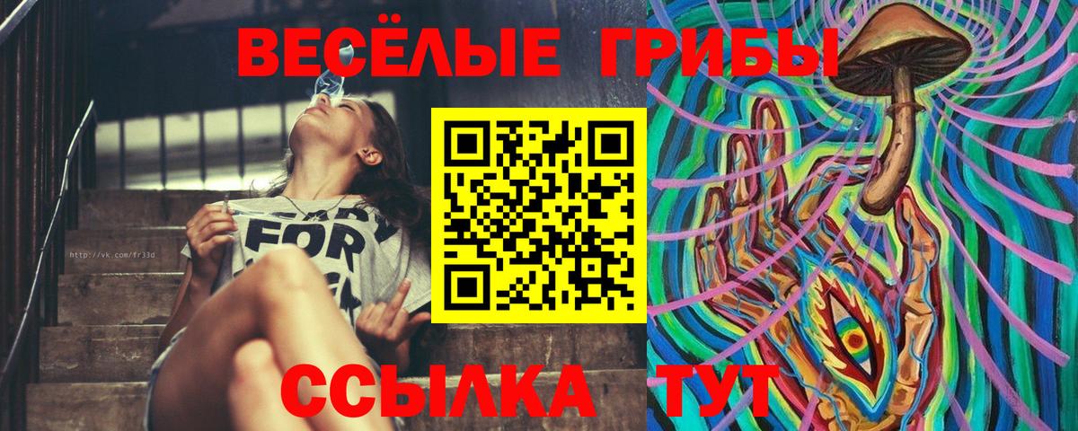 Черногорск  Псилоцибиновые грибы Psilocybe  Вход с VPN 